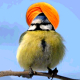 Guru Mahalassma