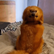 LHKappa