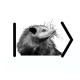Schroedinger's Possum