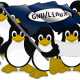ParanoidPrivacyTux