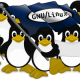 ParanoidPrivacyTux