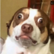Marvin Lenk