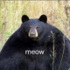 qoloxolop