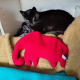 Inka und InGritta