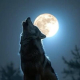 TheSleepwalker