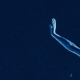 cs42