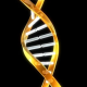 Doppellhelix