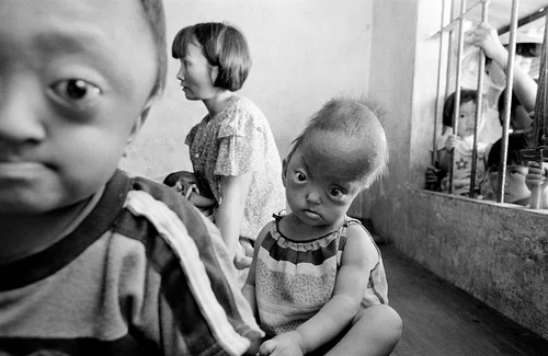 Bildbeschreibung hier eingeben