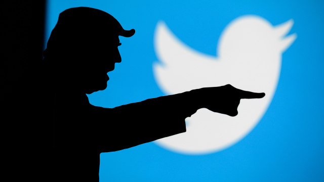 Donald Trump vor Twitter-Logo