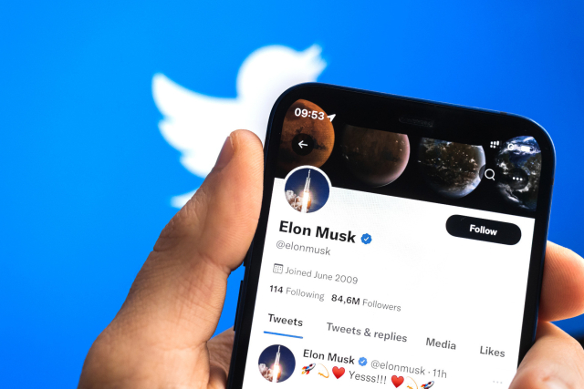 Musks Twitter-Account