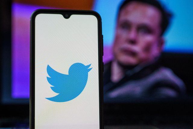 Twiter-Logo und Elon Muks im Hintergrund