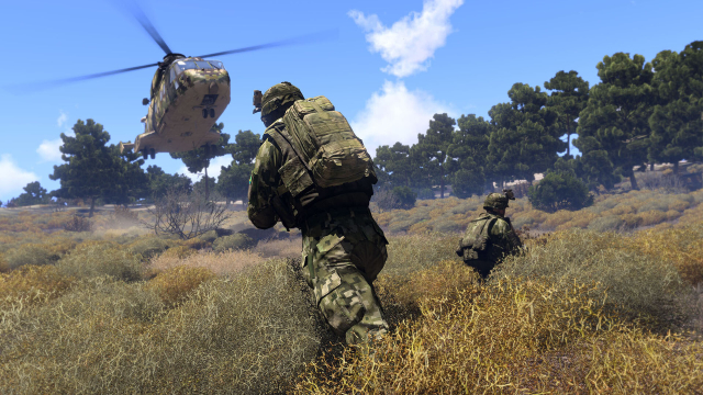Szene aus Arma 3