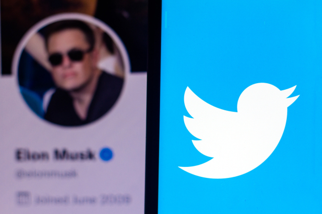 Musks Twitter-Account und Twitter-Logo
