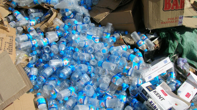 Plastikflaschen auf dem Müll