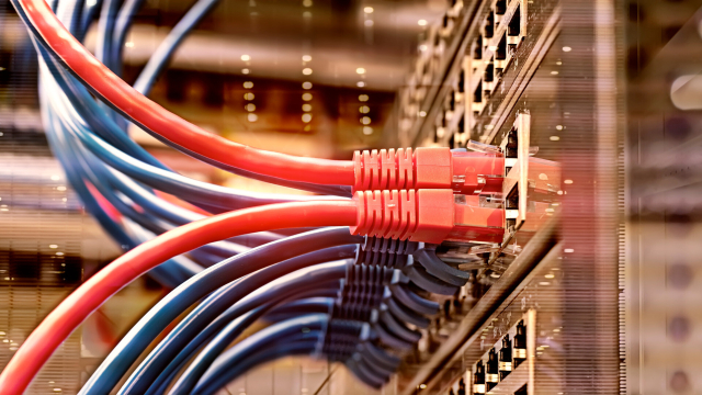 Eingesteckte Ethernetkabel