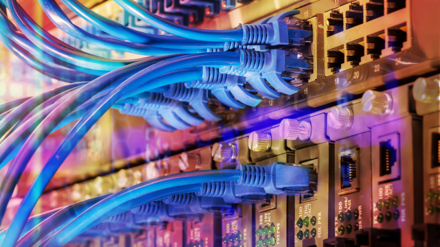 Eingesteckte Ethernetkabel