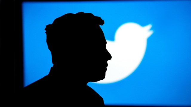 Elon Musks Silhouette vor Twitterlogo