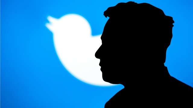 Elon Musks Profil vor Twitterlogo