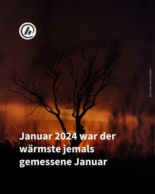 Bild: Im Hintergrund laubloser Baum und untergehende Sonne.

Überschrift: Januar 2024 war der wärmste jemals gemessene Januar.