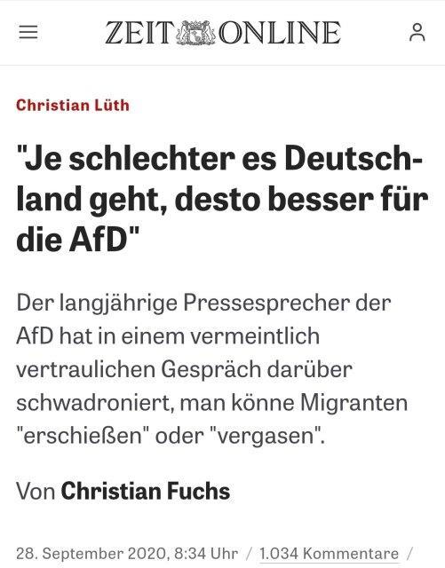 Screenshot eines Zeit Online Artikel. 
Zitat:"Je schlechter es Deutschland geht, deste besser für die AFD"