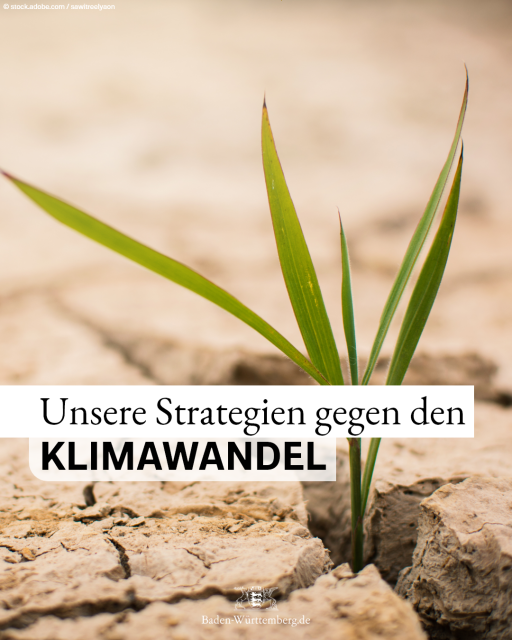 Bild: Pflanzenkeimling in ausgedrockneter Ackererde. © stock.adobe.com / sawitreelyaon. Text: Unsere Strategien gegen den Klimawandel.






