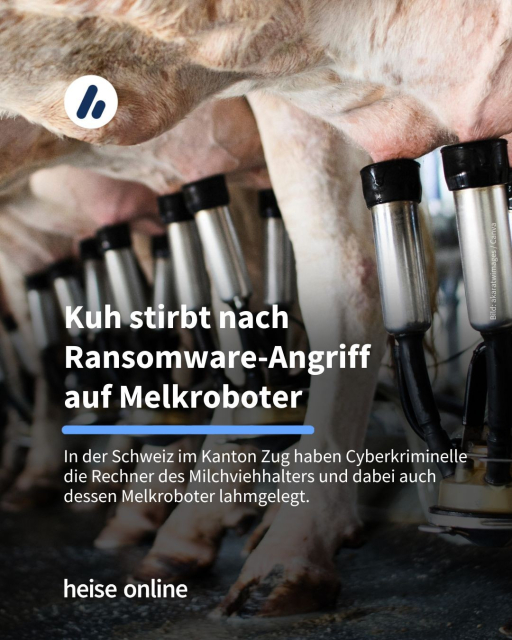 Auf dem Bild sieht man mehrere Kühe, die an Melkmaschinen angeschlossen sind. In der Überschrift auf dem Bild steht: "Kuh stirbt nach Ransomware-Angriff 
auf Melkroboter" darunter steht: "In der Schweiz im Kanton Zug haben Cyberkriminelle die Rechner des Milchviehhalters und dabei auch dessen Melkroboter lahmgelegt."