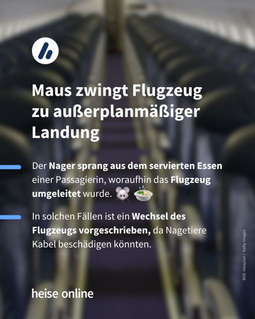 Im Hintergrund sieht man die Passagierkabine eines Flugzeugs. In der Überschrift steht: Maus zwingt Flugzeug 
zu außerplanmäßiger Landung. Dadrunter steht: Der Nager sprang aus dem servierten Essen einer Passagierin, woraufhin das Flugzeug von umgeleitet wurde. In solchen Fällen ist ein Wechsel des Flugzeugs vorgeschrieben, da Nagetiere Kabel beschädigen könnten.