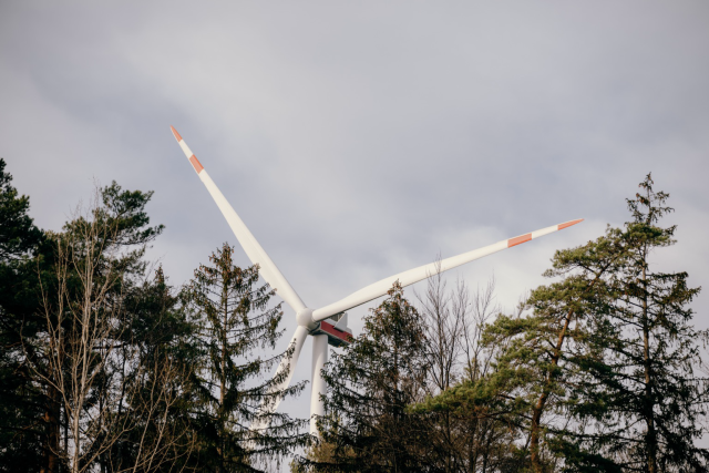 Windrad, bei dem nur die Rotorenblätter zu sehen sind. Der Rest wird von Bäumen verdeckt. © Staatsministerium BW | Ilkay Karakurt