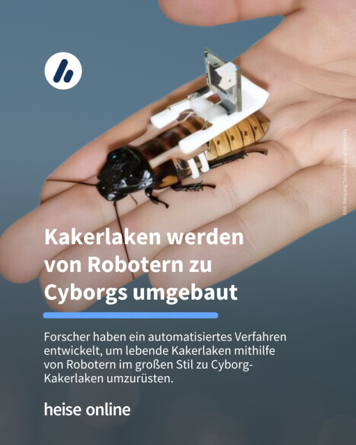 Das Bild zeigt eine Cyborg-Kakerlake auf einer Hand. In der Überschrift steht: "Kakerlaken werden 
von Robotern zu 
Cyborgs umgebaut" dadrunter steht: "Forscher haben ein automatisiertes Verfahren entwickelt, um lebende Kakerlaken mithilfe 
von Robotern im großen Stil zu Cyborg-Kakerlaken umzurüsten."