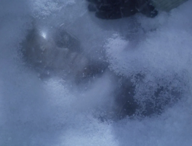 Picture of a Borg frozen in ice from the Startrek Enterprise episode "Regneration"