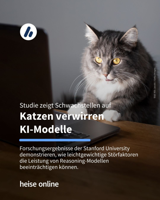 Auf dem Bild ist eine Katze vor einem Laptop zu sehen. Im Bild steht: "Studie zeigt Schwachstellen auf
Katzen verwirren 
KI-Modelle" dadrunter steht: "Forschungsergebnisse der Stanford University demonstrieren, wie leichtgewichtige Störfaktoren die Leistung von Reasoning-Modellen beeinträchtigen können." 