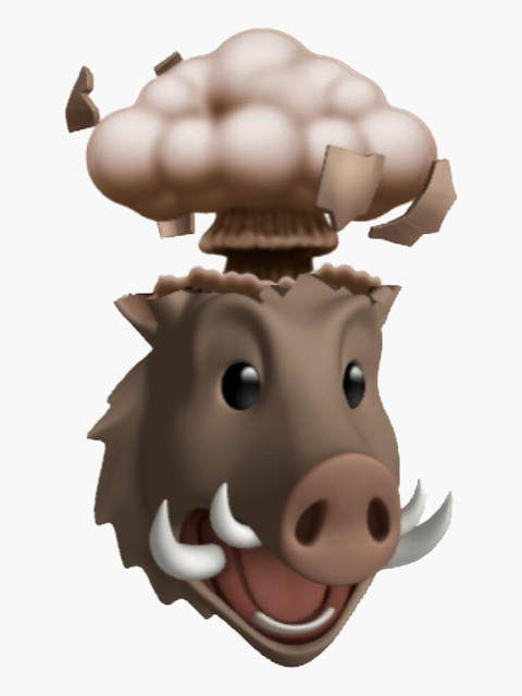 Boar head explosion meme