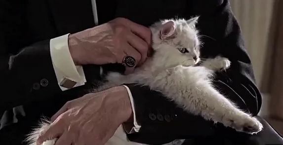 Bond-Schurke Blofeld hält seine weiße Katze auf dem Arm