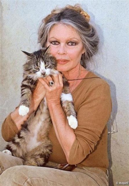 Bardot mit Katze im Arm, die das scheints eher nur über sich ergehen lässt.