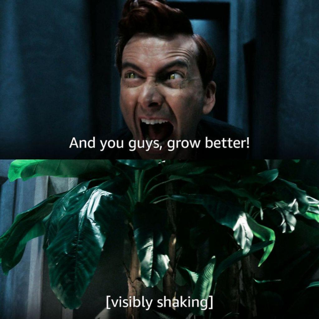 Szene aus der Serie "Good Omens". Ein Dämon (gespielt von David Tennant) brüllt seine Pflanzen an, dass sie besser wachsen sollen. Die Pflanzen zittern.