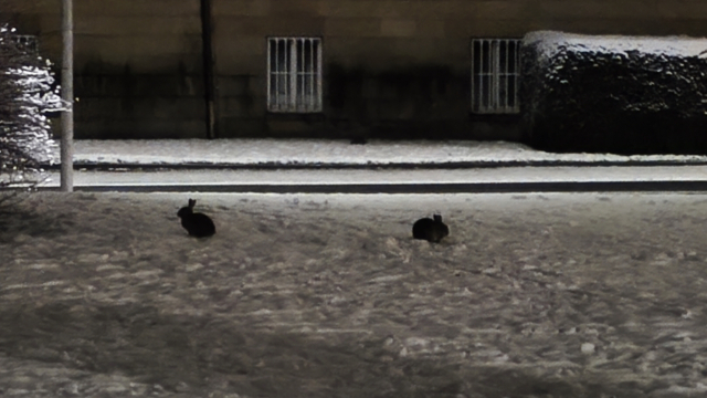 #Münster 
Winterimpressionen 2